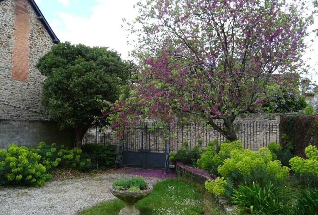 53079-1380-27112025-164650-4