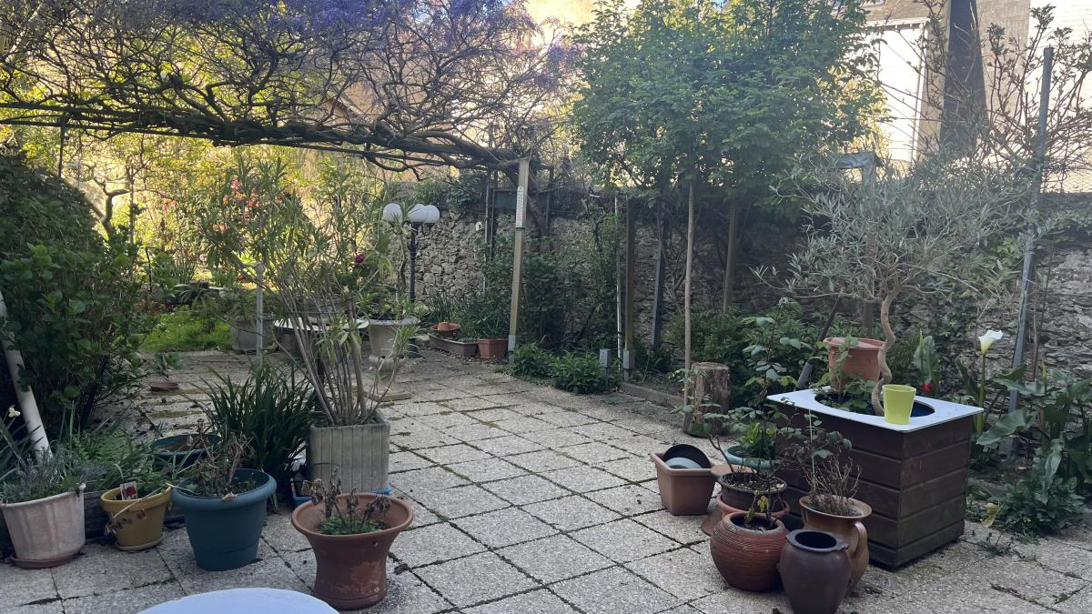 53079-1381-05112025-151121-2