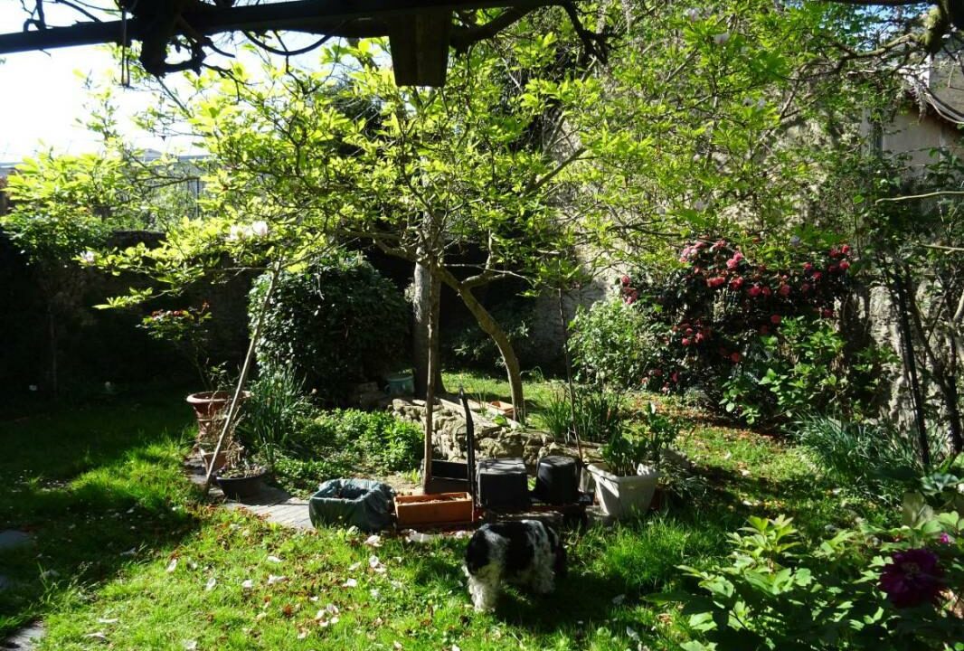 53079-1381-05112025-151121-4