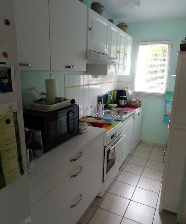 53079-1392-27112025-164654-3