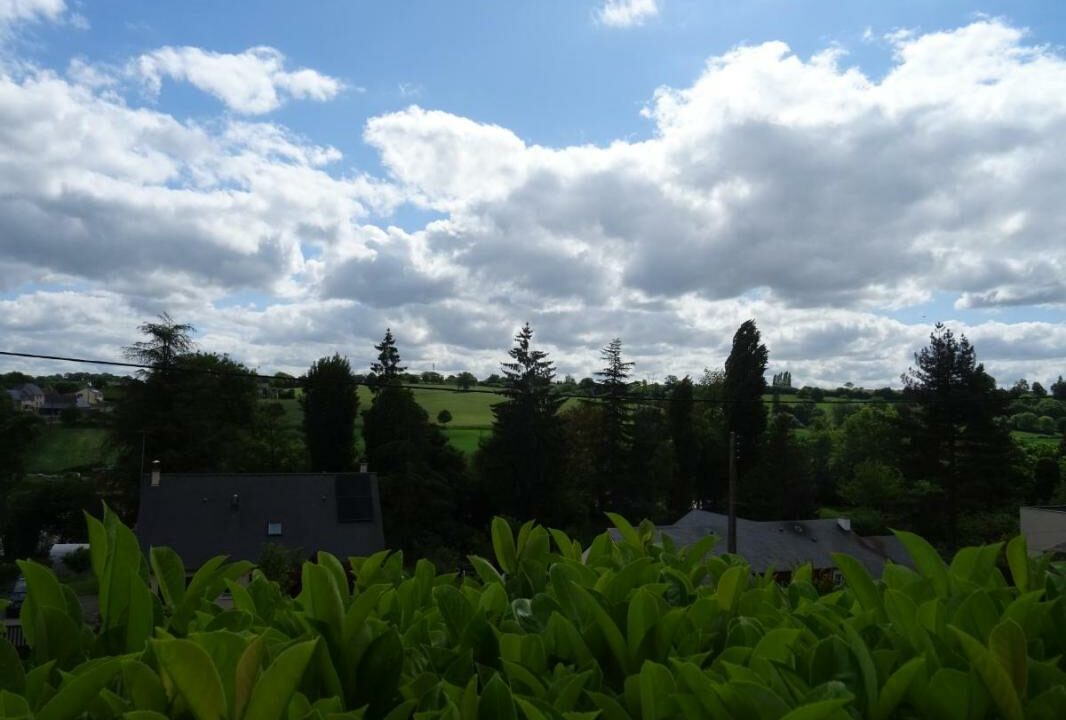 53079-1380-26012026-191944-5