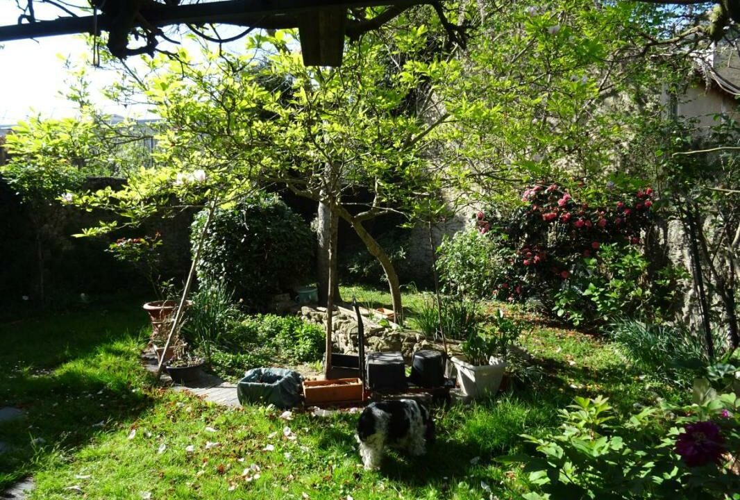 53079-1381-23012026-180930-4