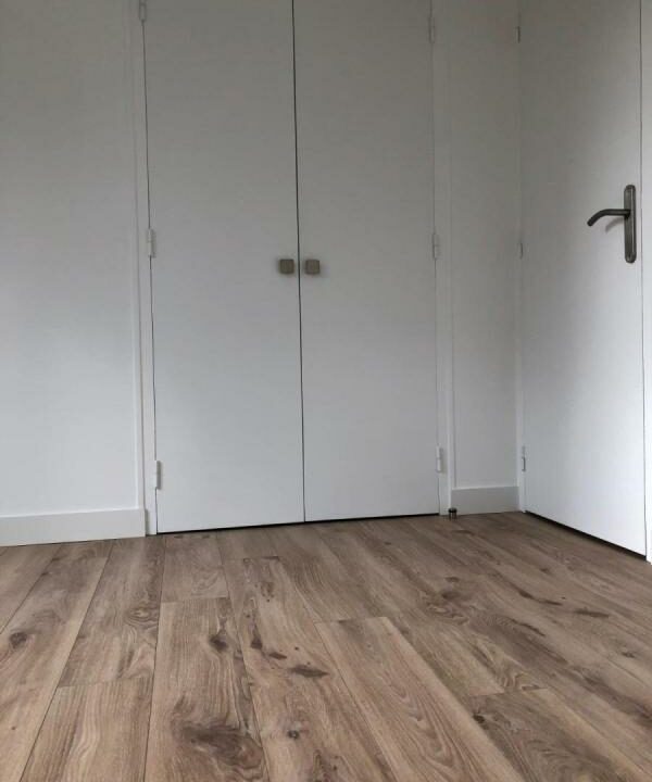 53079-L388-12022026-035849-5