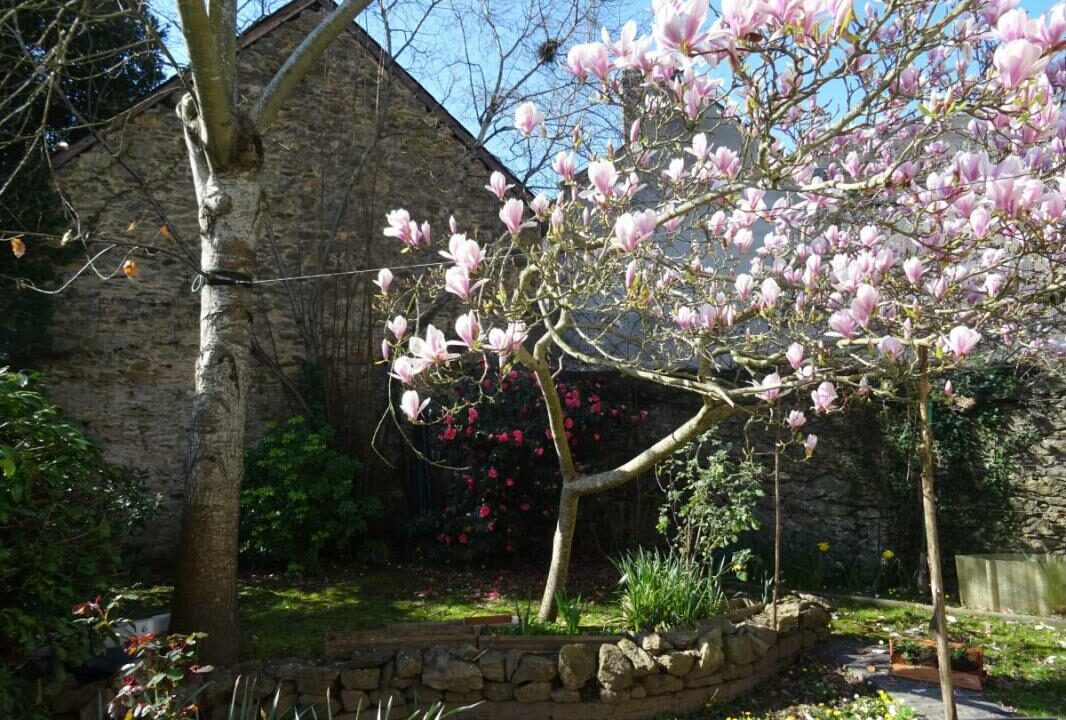 53079-1381-17042026-162652-2