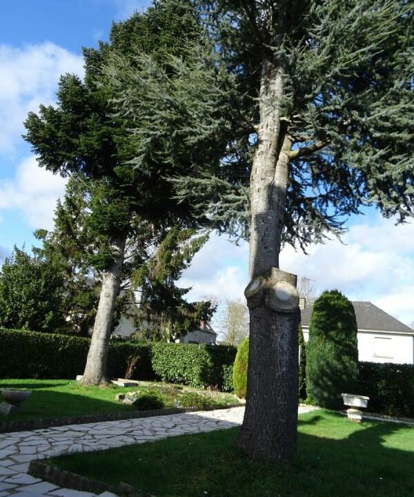 53079-1408-16042026-201631-2