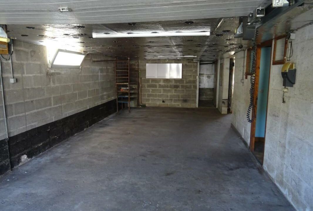 53079-1419-03082026-112048-6